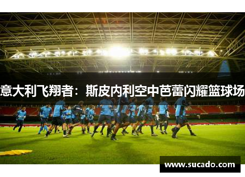 意大利飞翔者：斯皮内利空中芭蕾闪耀篮球场